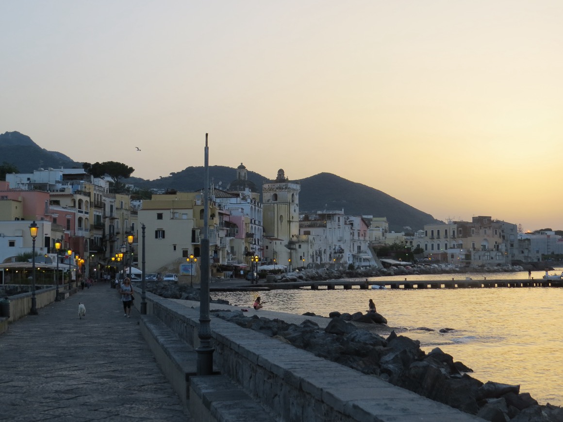 IMG 0909.JPG